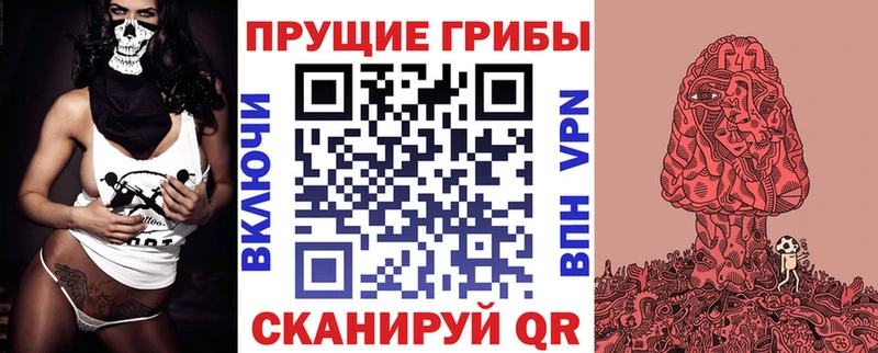 shop какой сайт  закладка  Любань  Псилоцибиновые грибы Psilocybe 
