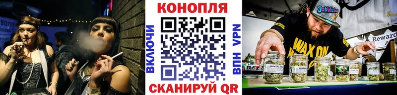 купить наркоту  Любань  Канабис сатива 